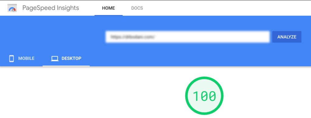 100% score on PageSpeed for desktop
